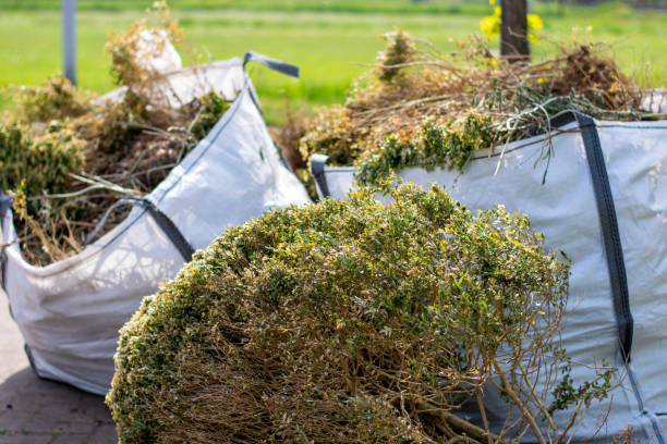 Best Dumpster Rental Services  in Polkton, NC
