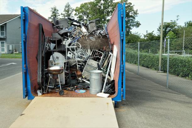 Yard Cleanup Services in Polkton, NC
